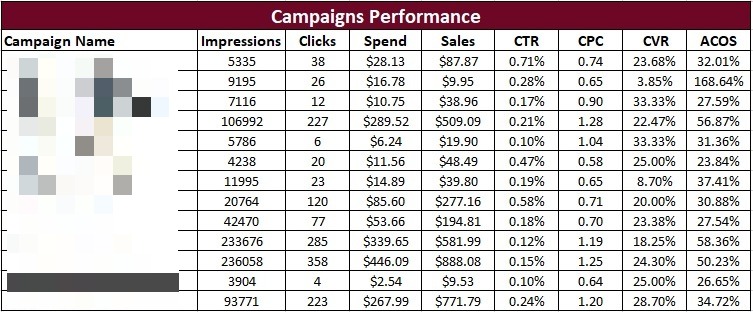 Amazon PPC Campaign Performance (1)