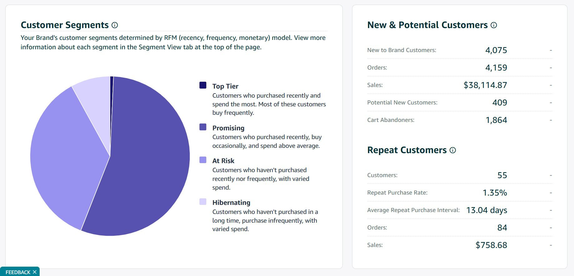 Amazon Customer Loyalty Analytics Dashboard showing Top Tier, Promising, At-Risk and Hibernating customer segments