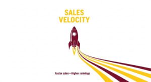 Amazon Ranking Algorithm - Sales Velocity