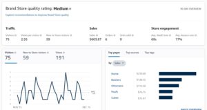 Amazon Store Insights