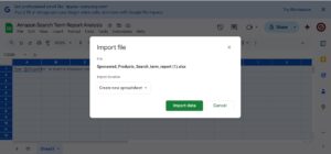 Amazon PPC Search Term Report Analysis